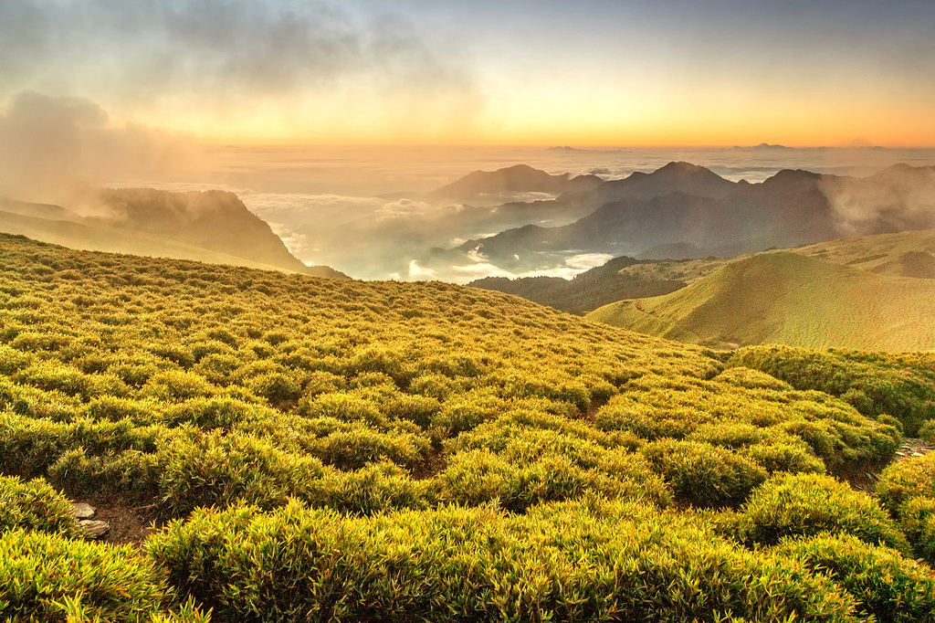 DSC03431-編輯-編輯.jpg DSC03431-編輯-編輯.jpg