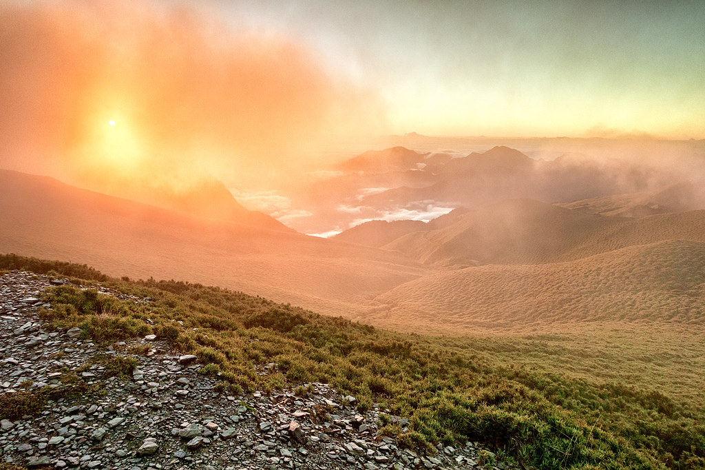 DSC03443-編輯-編輯.jpg DSC03443-編輯-編輯.jpg