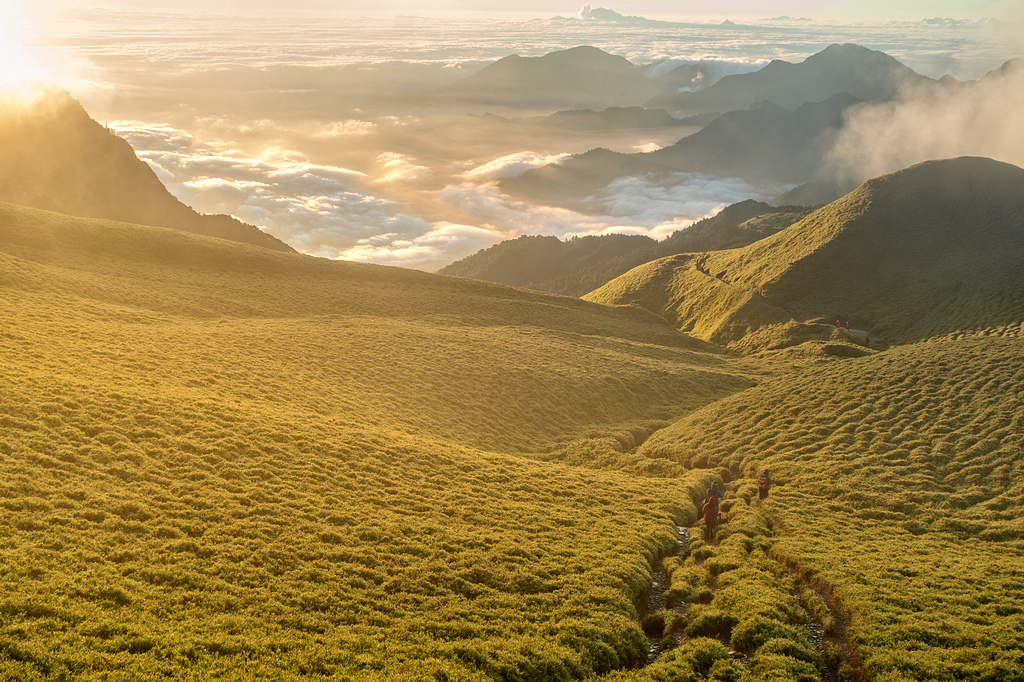 DSC03497-編輯.jpg DSC03497-編輯.jpg