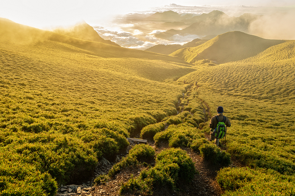 DSC03505-編輯.jpg DSC03505-編輯.jpg