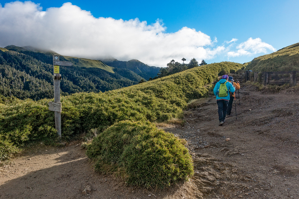 DSC03572-編輯.jpg DSC03572-編輯.jpg