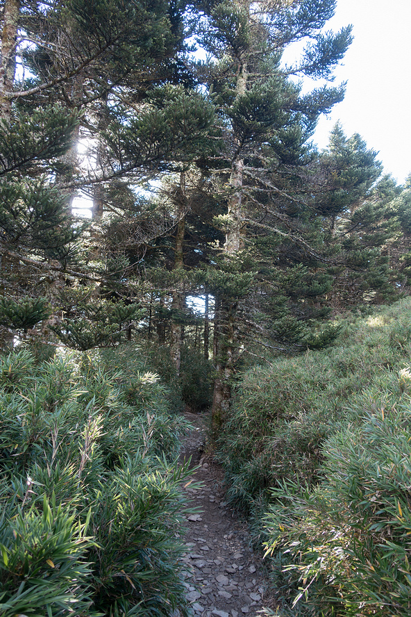 DSC03578.jpg DSC03578.jpg