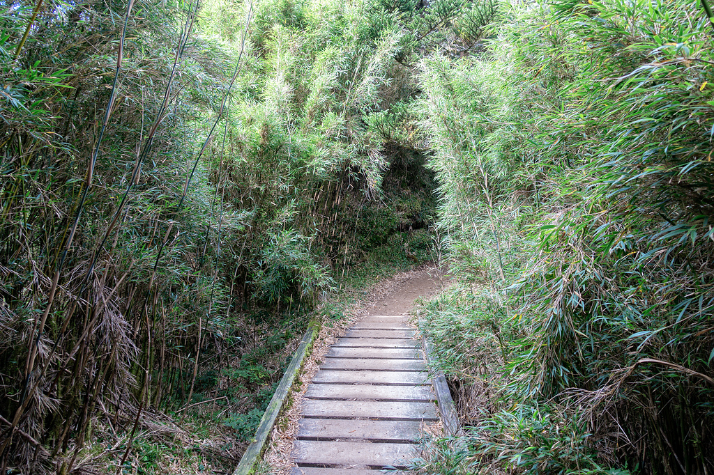 DSC03608-編輯.jpg DSC03608-編輯.jpg