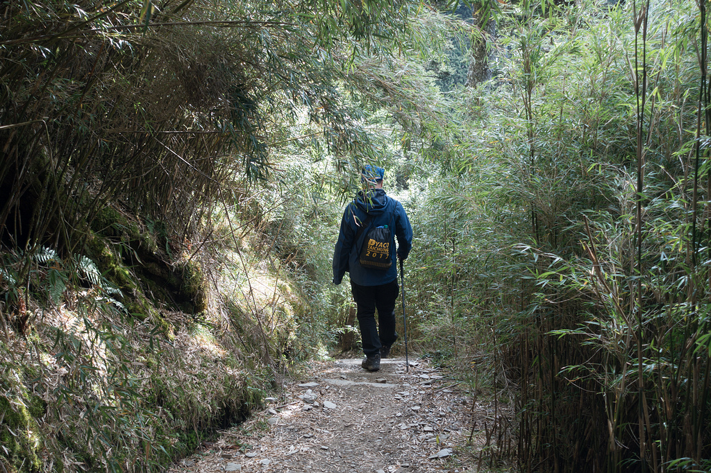 DSC03616.jpg DSC03616.jpg