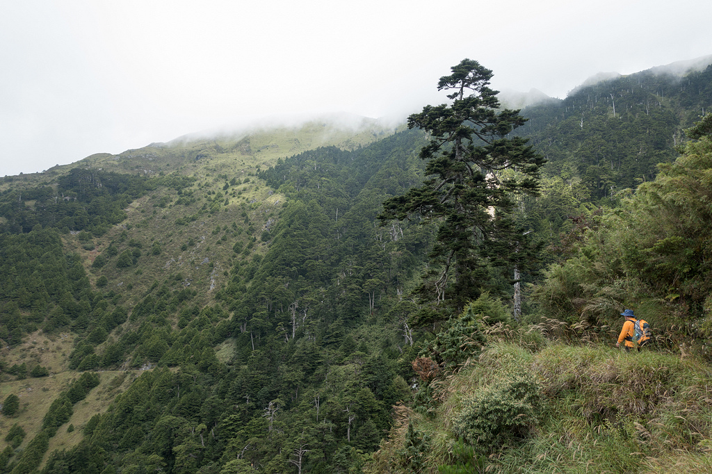 DSC03642.jpg DSC03642.jpg