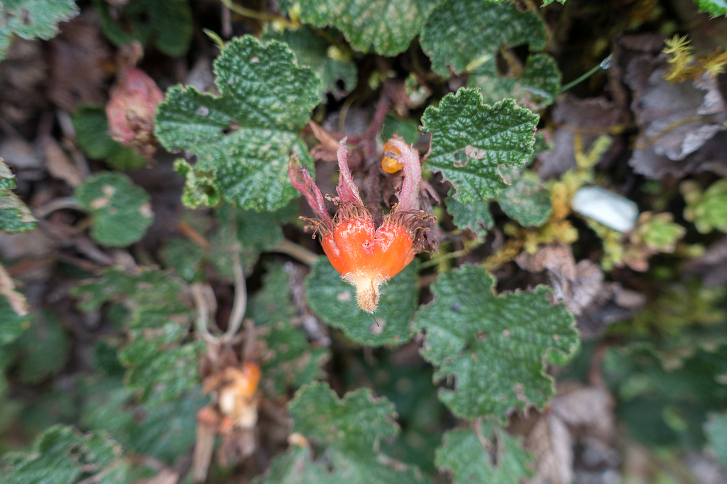 DSC03646.jpg DSC03646.jpg