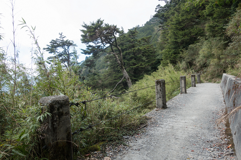 DSC03651.jpg DSC03651.jpg