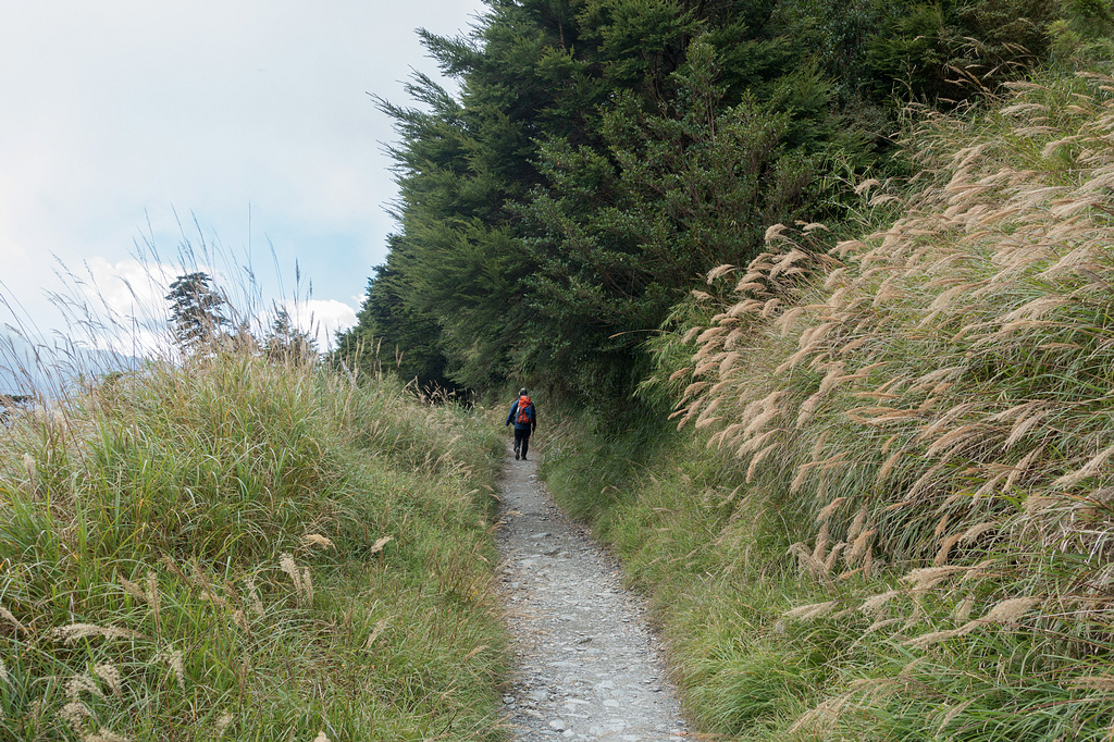 DSC03657.jpg DSC03657.jpg