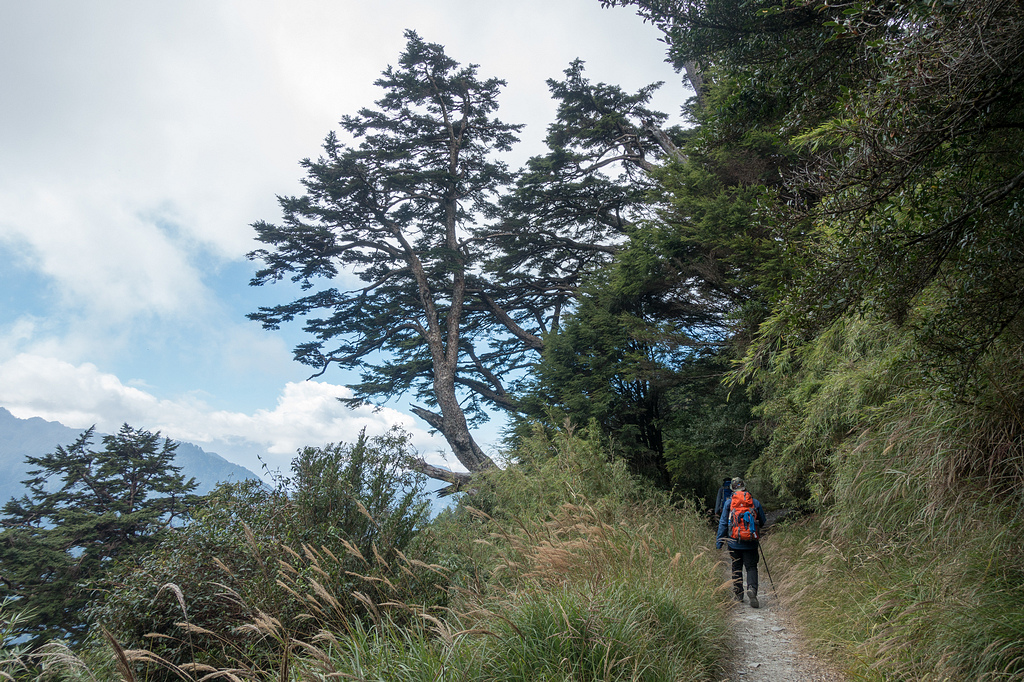 DSC03658.jpg DSC03658.jpg