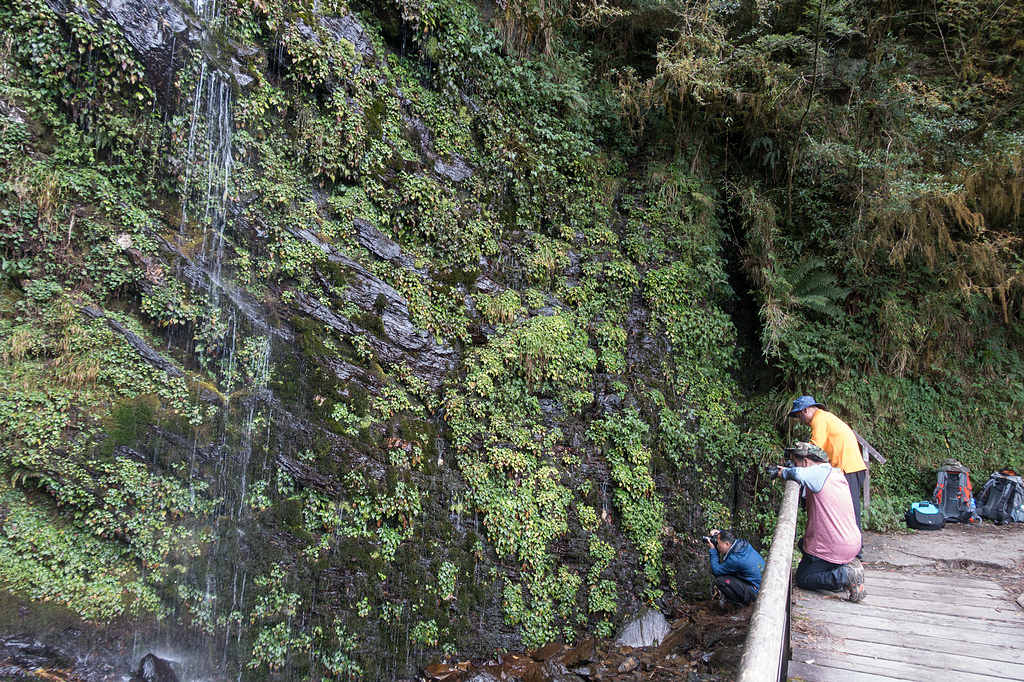 DSC03663.jpg DSC03663.jpg