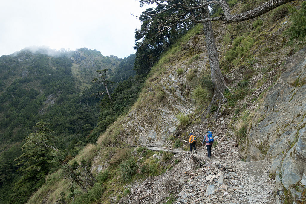 DSC03666.jpg DSC03666.jpg