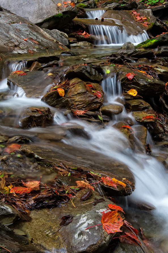 _DSC4574-編輯-2.jpg