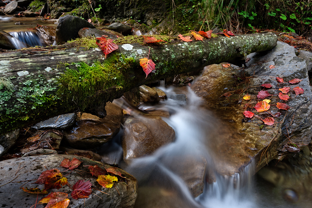 _DSC4726-編輯.jpg