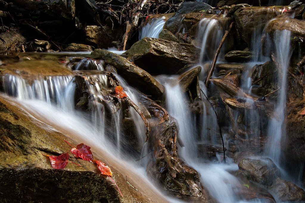 _DSC4517-編輯