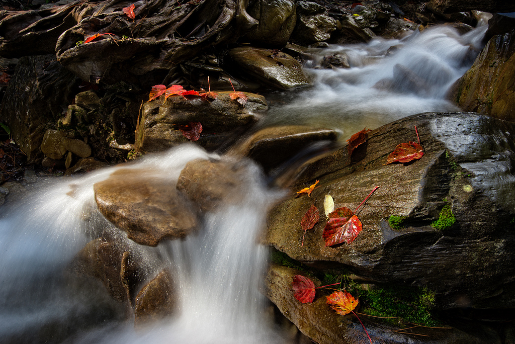 _DSC4530-編輯