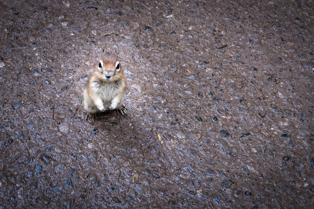 DSC_6350-編輯.jpg