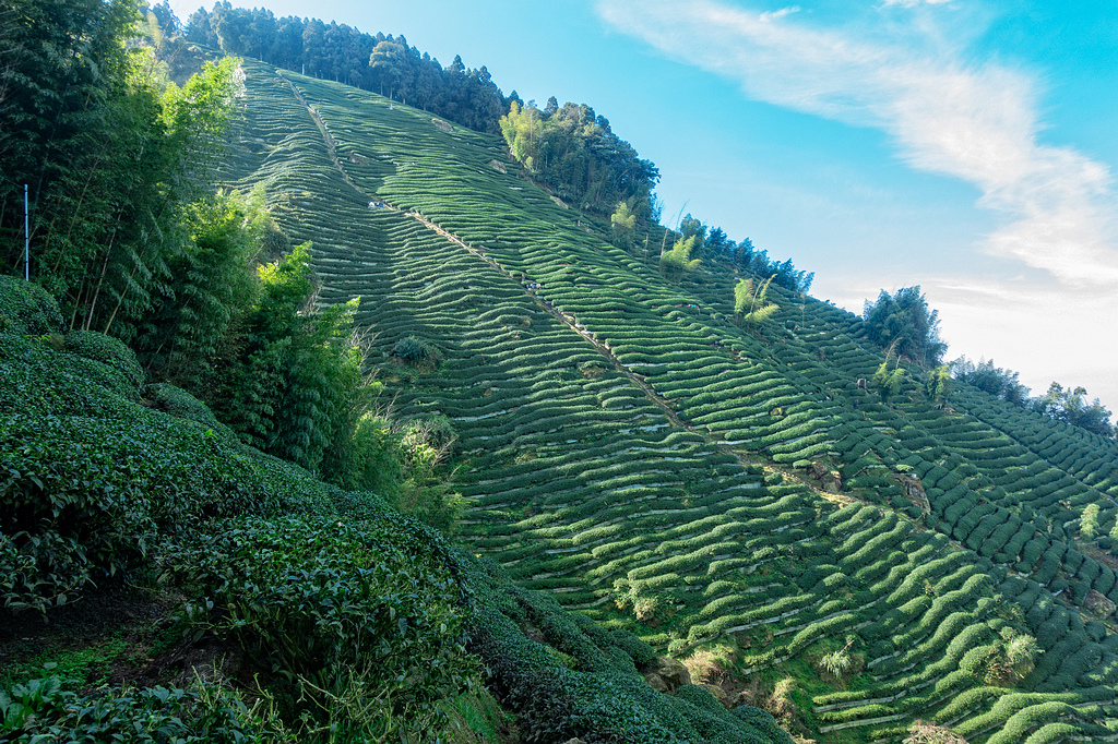 DSC04846-編輯.jpg DSC04846-編輯.jpg