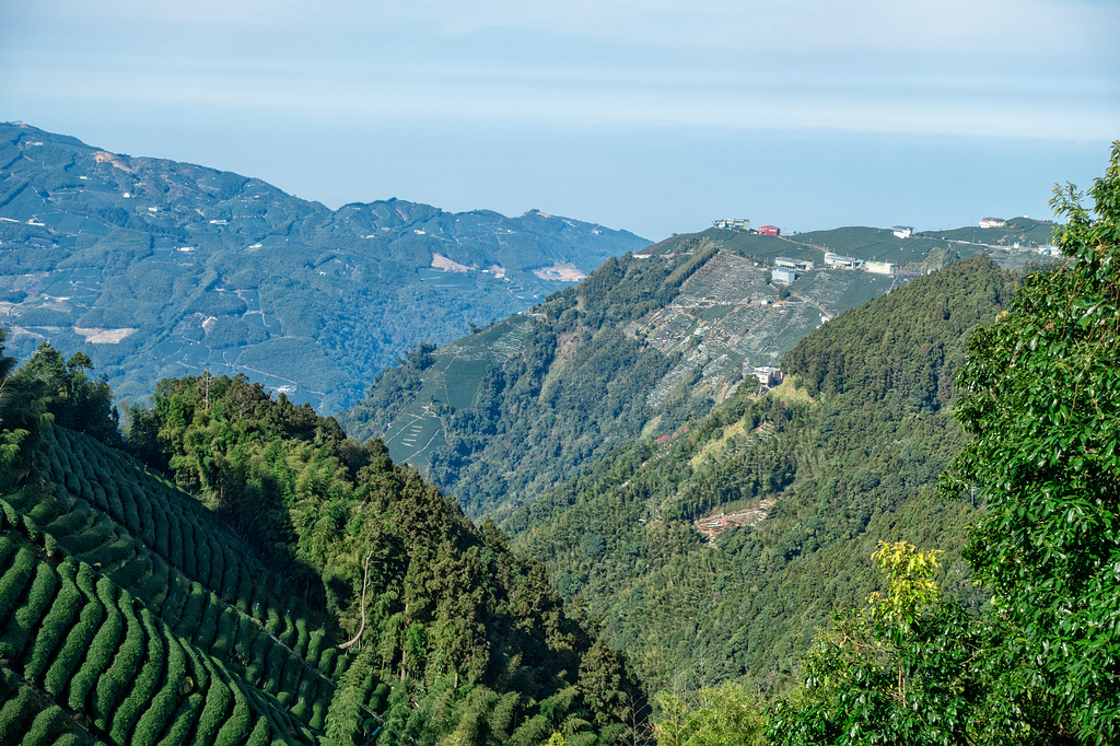 DSC04858-編輯.jpg DSC04858-編輯.jpg