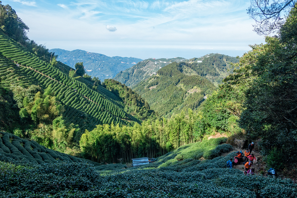 DSC04863-編輯.jpg DSC04863-編輯.jpg