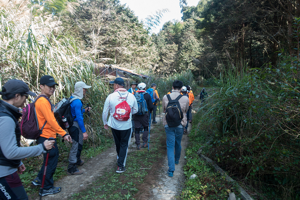 DSC04884.jpg DSC04884.jpg