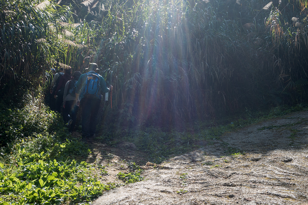 DSC04889.jpg DSC04889.jpg