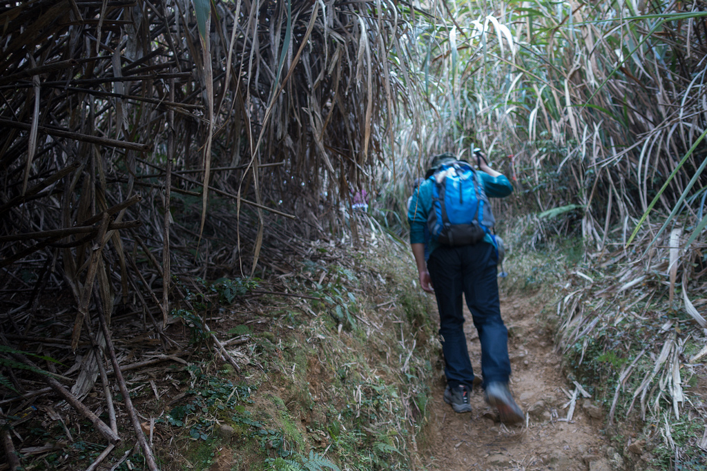 DSC04891.jpg DSC04891.jpg