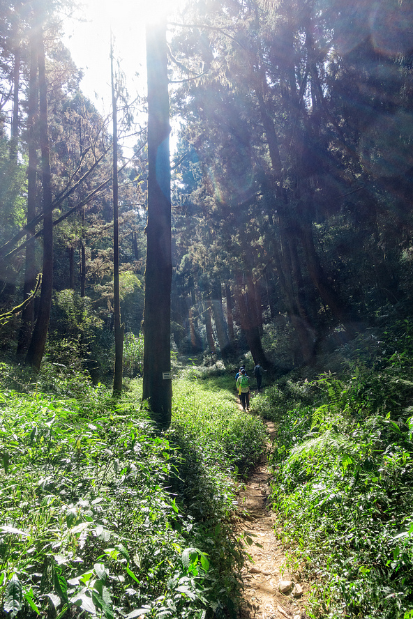 DSC04897-編輯.jpg DSC04897-編輯.jpg