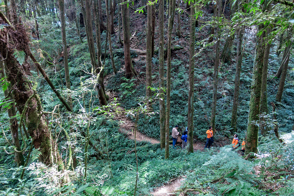 DSC04914-編輯.jpg DSC04914-編輯.jpg