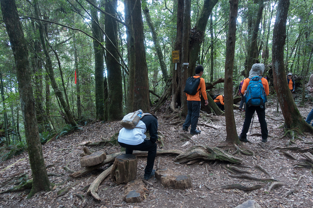 DSC04916.jpg DSC04916.jpg