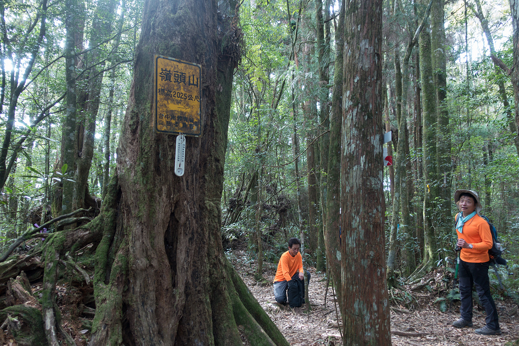 DSC04918.jpg DSC04918.jpg