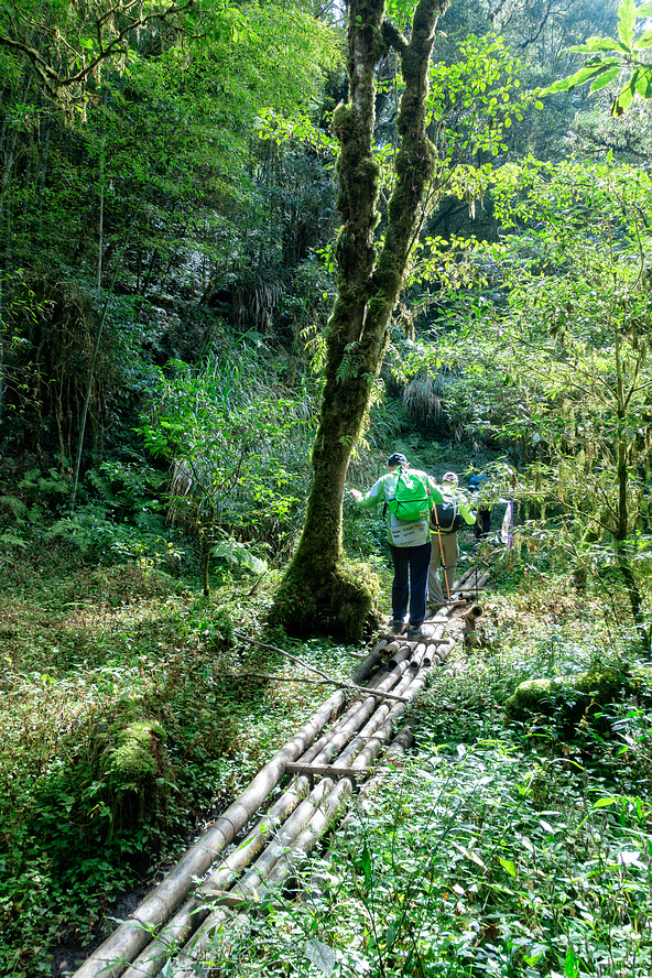 DSC04929-編輯.jpg DSC04929-編輯.jpg