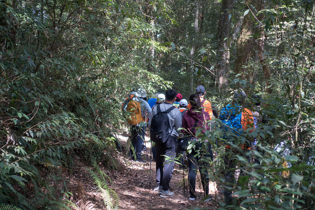 DSC04932.jpg DSC04932.jpg