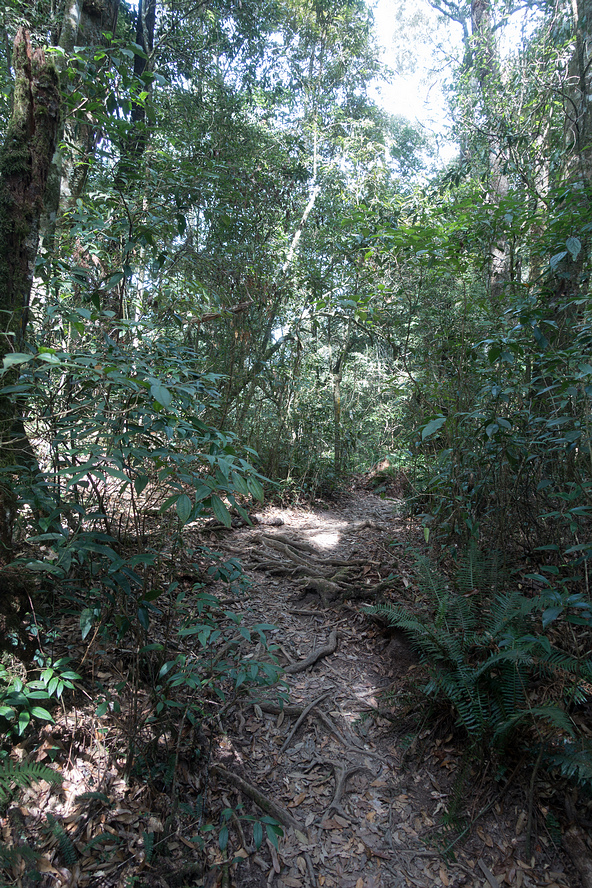 DSC04933.jpg DSC04933.jpg