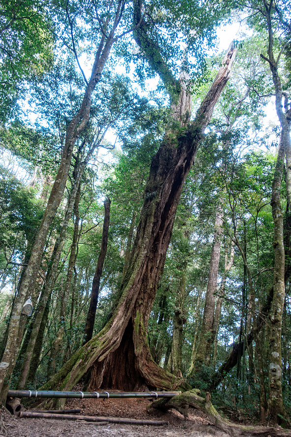 DSC04935-編輯.jpg DSC04935-編輯.jpg