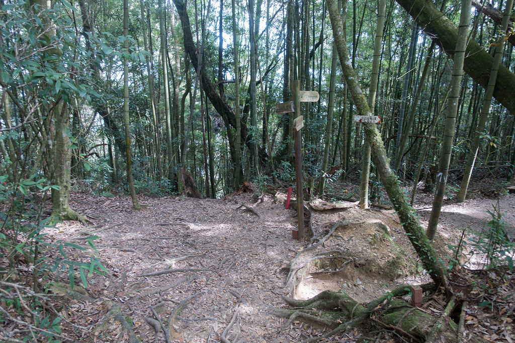 DSC04936.jpg DSC04936.jpg