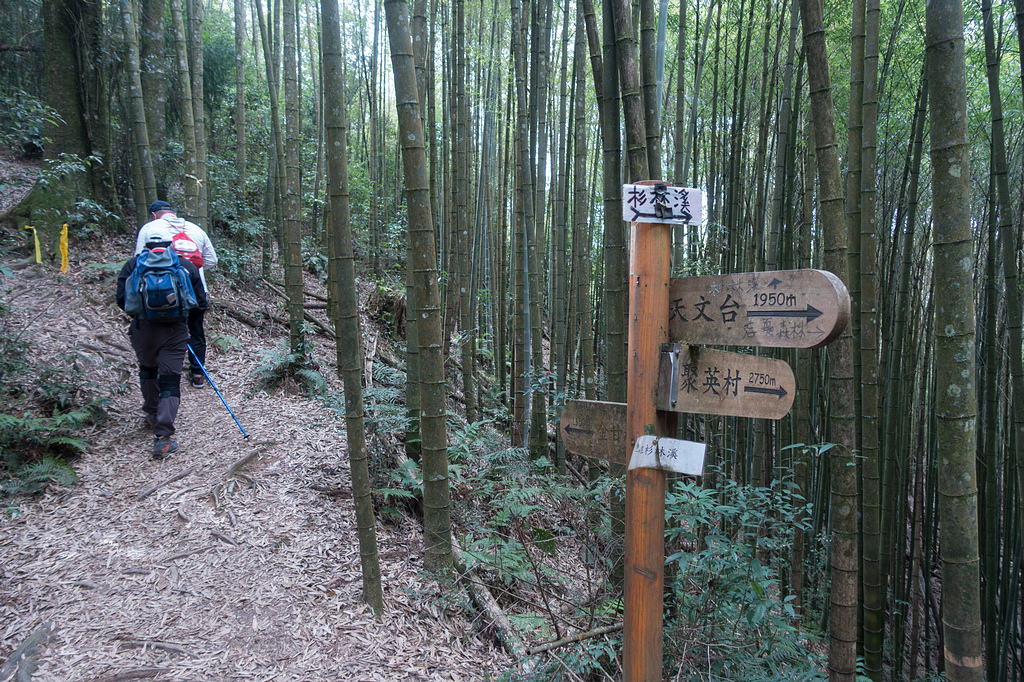 DSC04945.jpg DSC04945.jpg