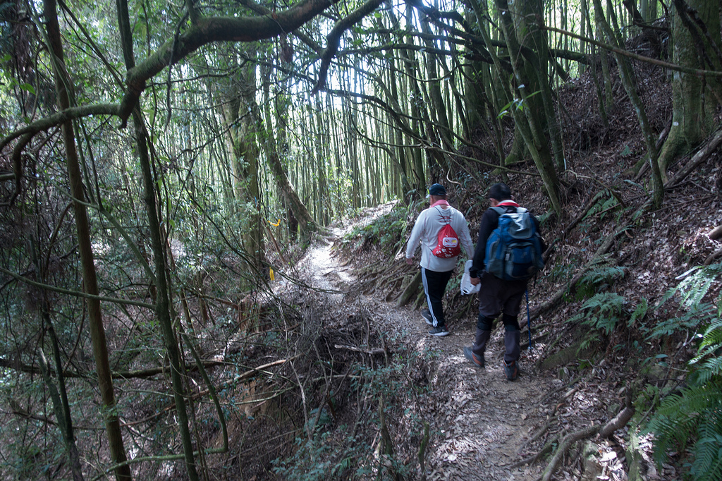 DSC04946.jpg DSC04946.jpg