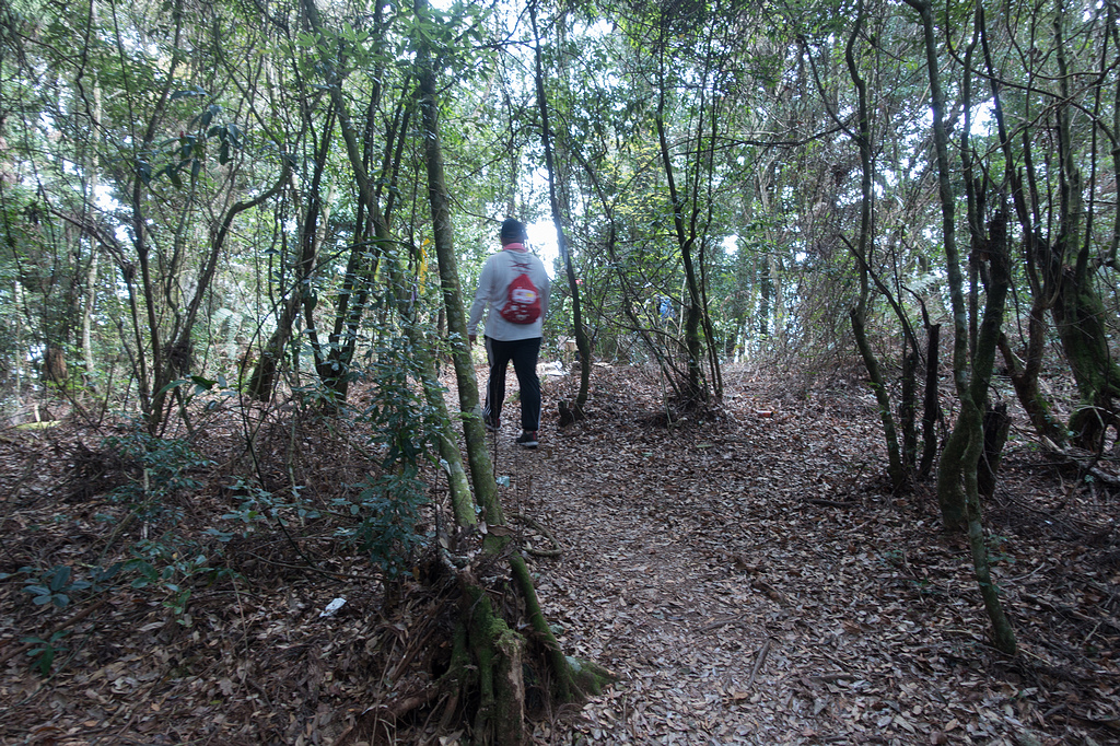 DSC04955.jpg DSC04955.jpg