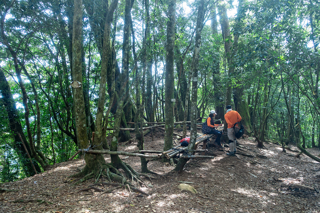 DSC04963-編輯.jpg DSC04963-編輯.jpg