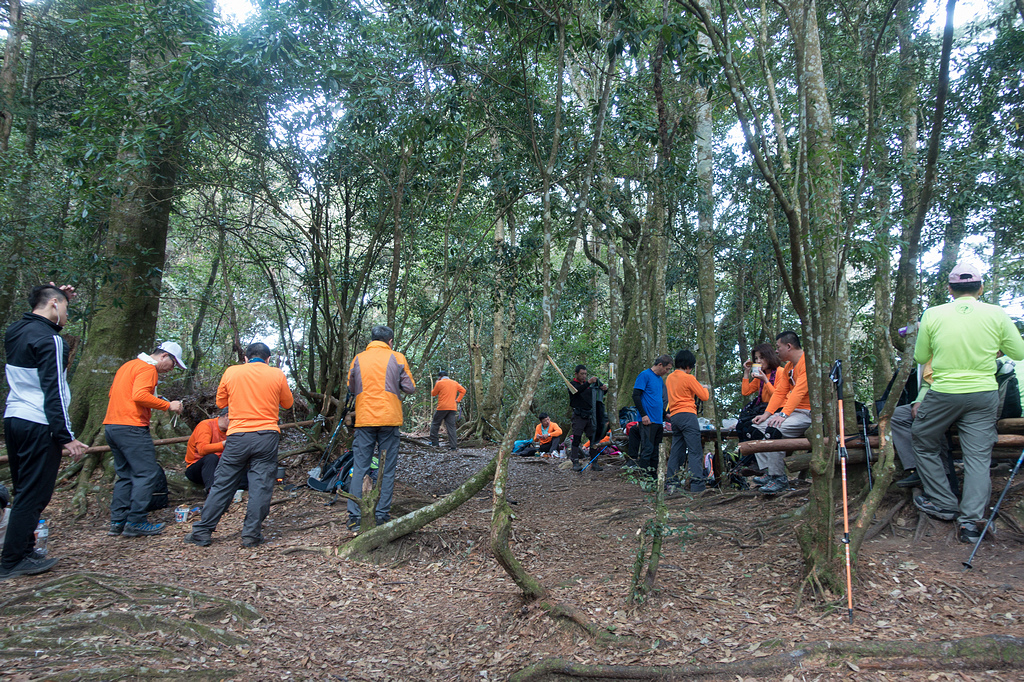 DSC04974.jpg DSC04974.jpg