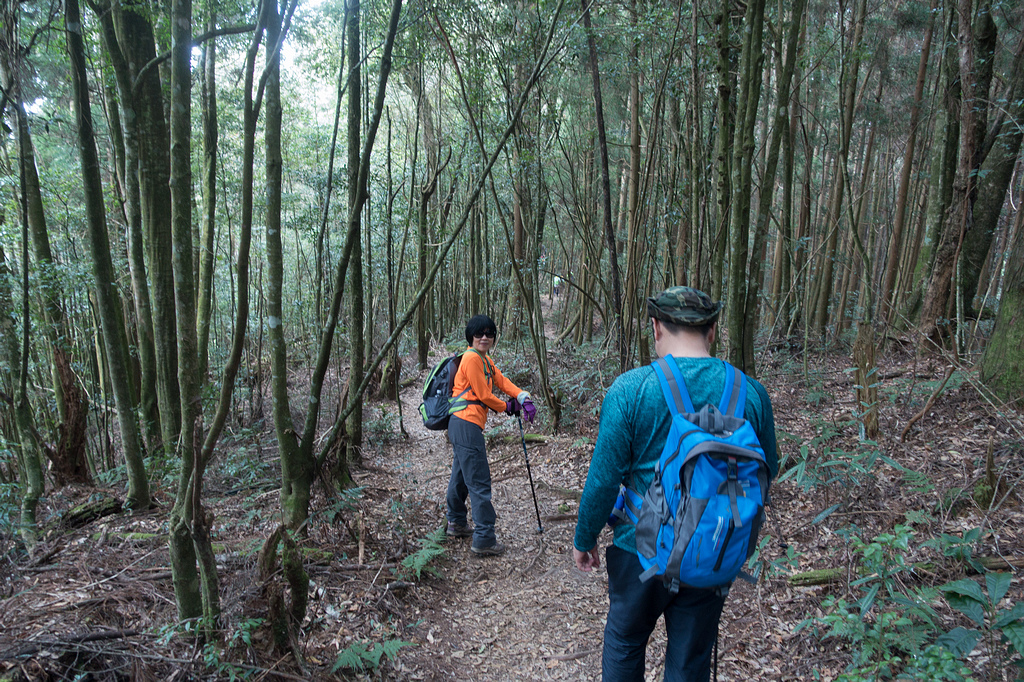 DSC04978.jpg DSC04978.jpg