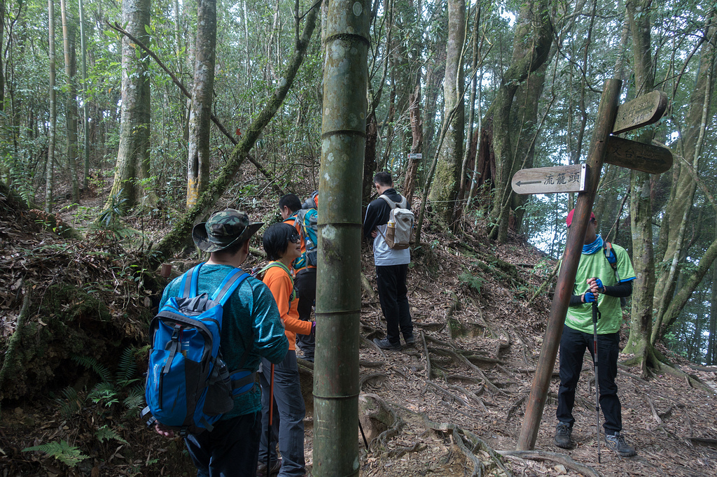 DSC04984.jpg DSC04984.jpg