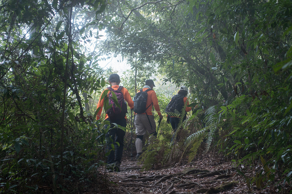 DSC05066.jpg DSC05066.jpg