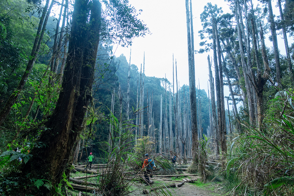 DSC05067-編輯.jpg DSC05067-編輯.jpg