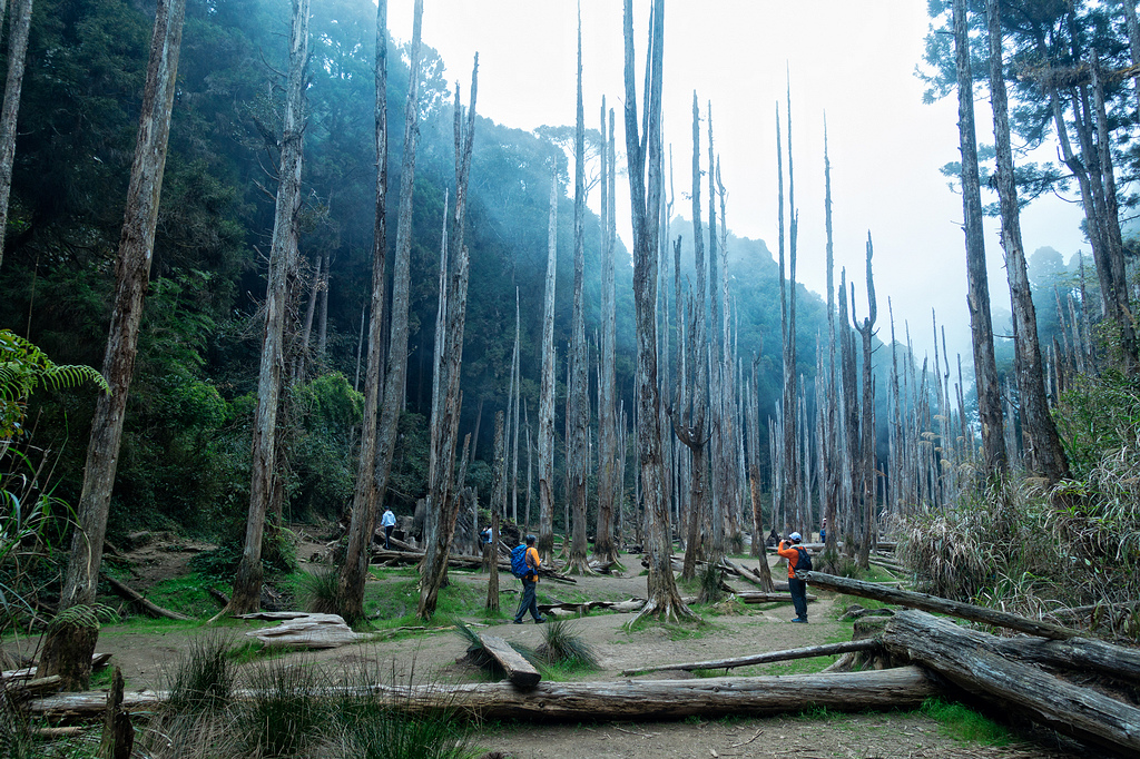 DSC05071-編輯.jpg DSC05071-編輯.jpg