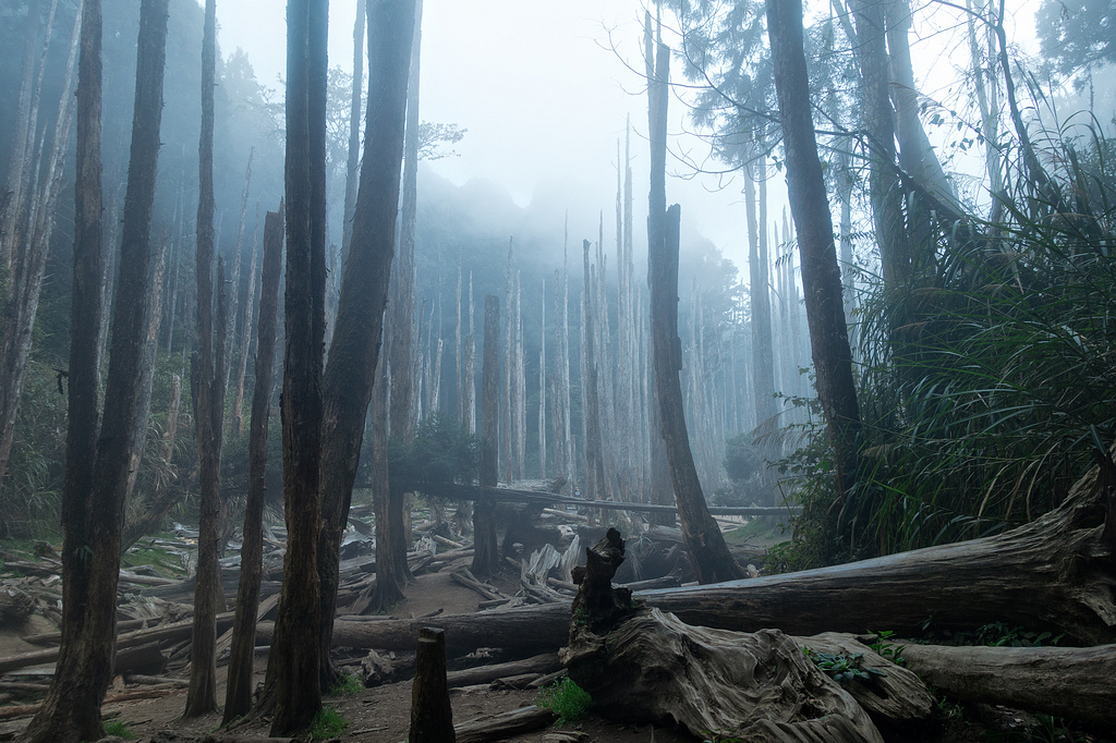 DSC05090-編輯.jpg DSC05090-編輯.jpg