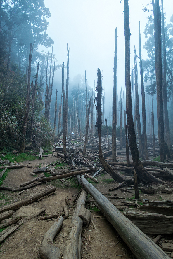 DSC05092-編輯.jpg DSC05092-編輯.jpg