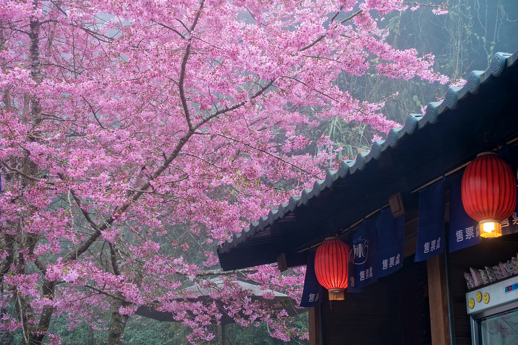 DSC05104-編輯.jpg DSC05104-編輯.jpg