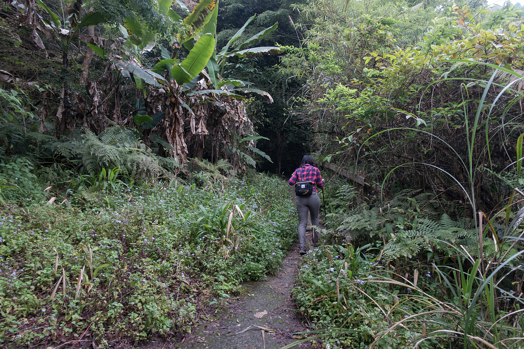 DSC05291.jpg DSC05291.jpg