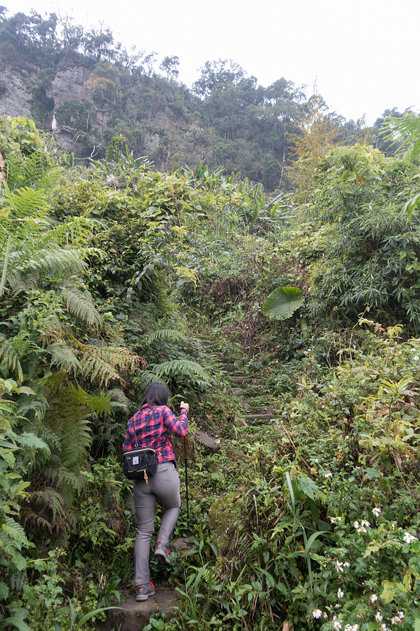 DSC05295.jpg DSC05295.jpg